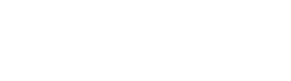 朗数科技